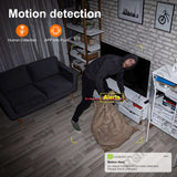 Motion detection alert showing a masked individual stealing, illustrating home security monitoring features.
