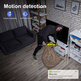 Image of a motion detection alert from a hidden camera, showing a thief in a living room.